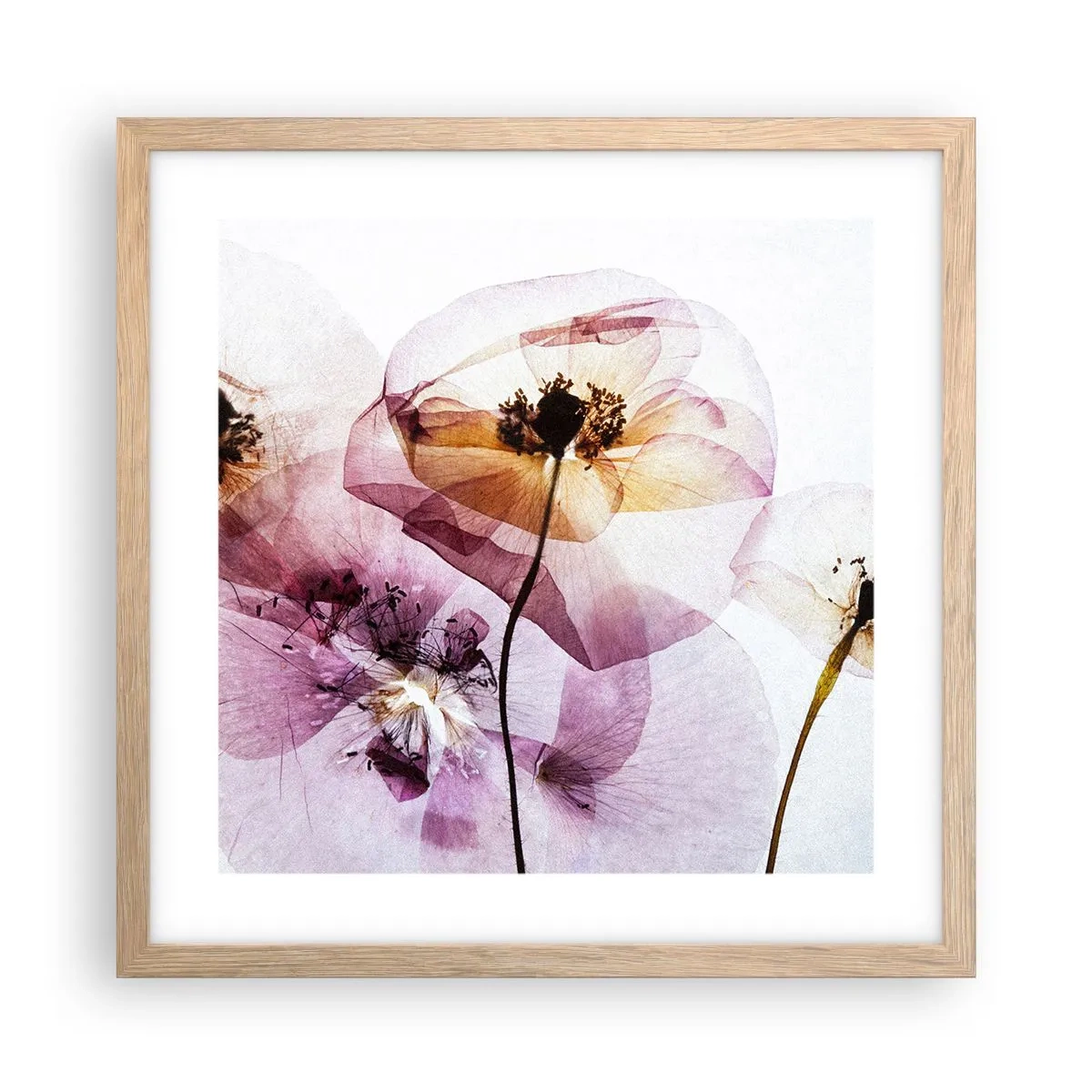 Pôster com moldura de carvalho claro - A transparência das flores - 40x40 cm