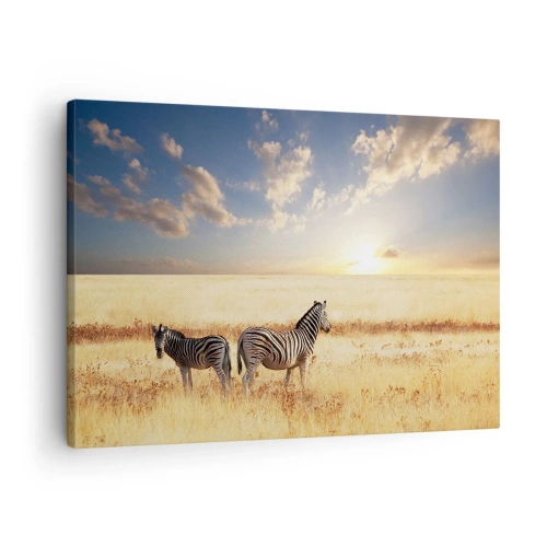 Quadro em tela - Duas zebras na savana sob os raios do sol poente - 70x50cm - Vá embora, não perturbe - Decoração de parede moderna para a sala de estar e quarto ARTTOR