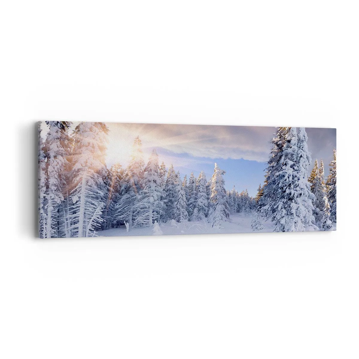 Quadro em tela - Espetáculo de neve da natureza - 90x30 cm