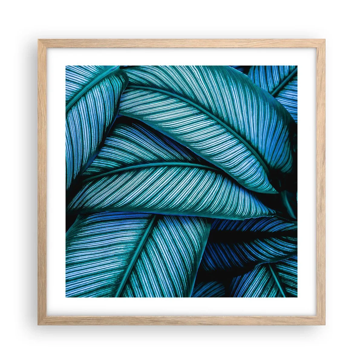 Pôster com moldura de carvalho claro - Linhas de vida - 50x50 cm