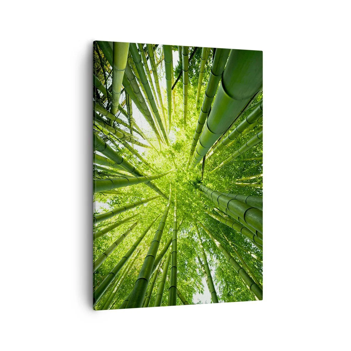 Quadro em tela - Em um bosque de bambu - 50x70 cm
