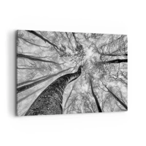 Quadro em tela - Corrida até a luz - 120x80 cm