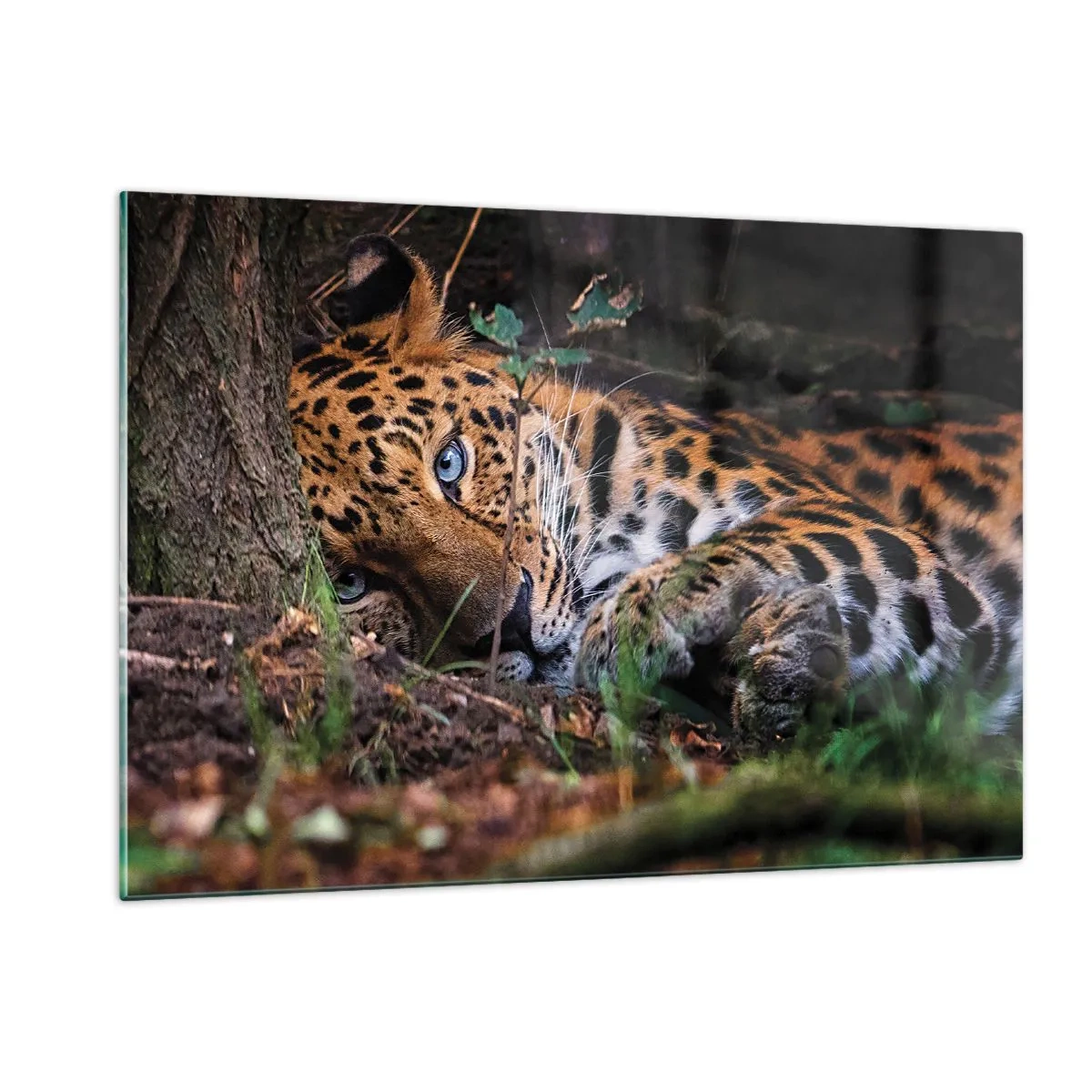 Quadro em vidro - Confie em mim - 120x80 cm