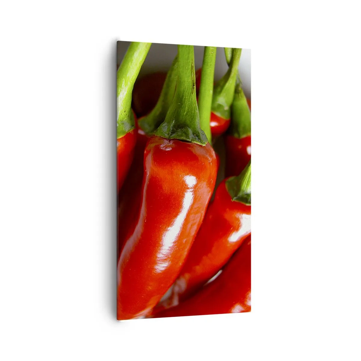 Quadro em tela - Suculento, brilhante, liso - 65x120 cm