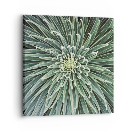 Quadro em tela - Nasce uma estrela - 30x30 cm