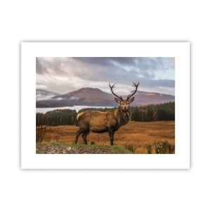 Pôster - A majestade da natureza - 40x30 cm