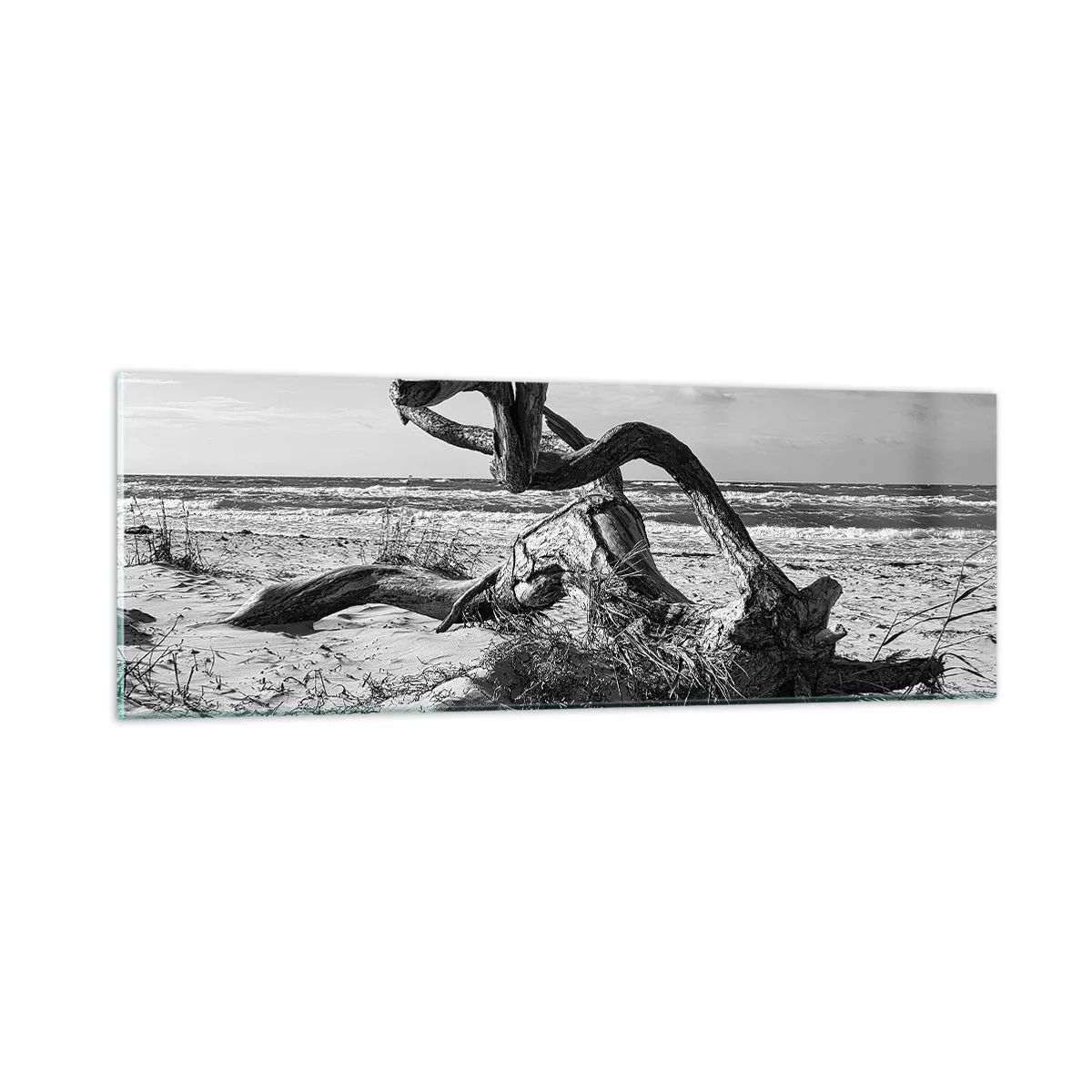 Quadro em vidro - Escultura do mar - 90x30 cm