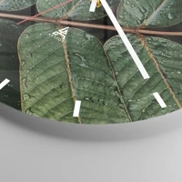 Mostrador com traços