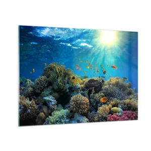 Quadro em vidro - Um recife de coral colorido iluminado pelos raios do sol - 70x50cm - Tesouros subaquáticos - Decoração de parede moderna para a sala de estar e quarto ARTTOR