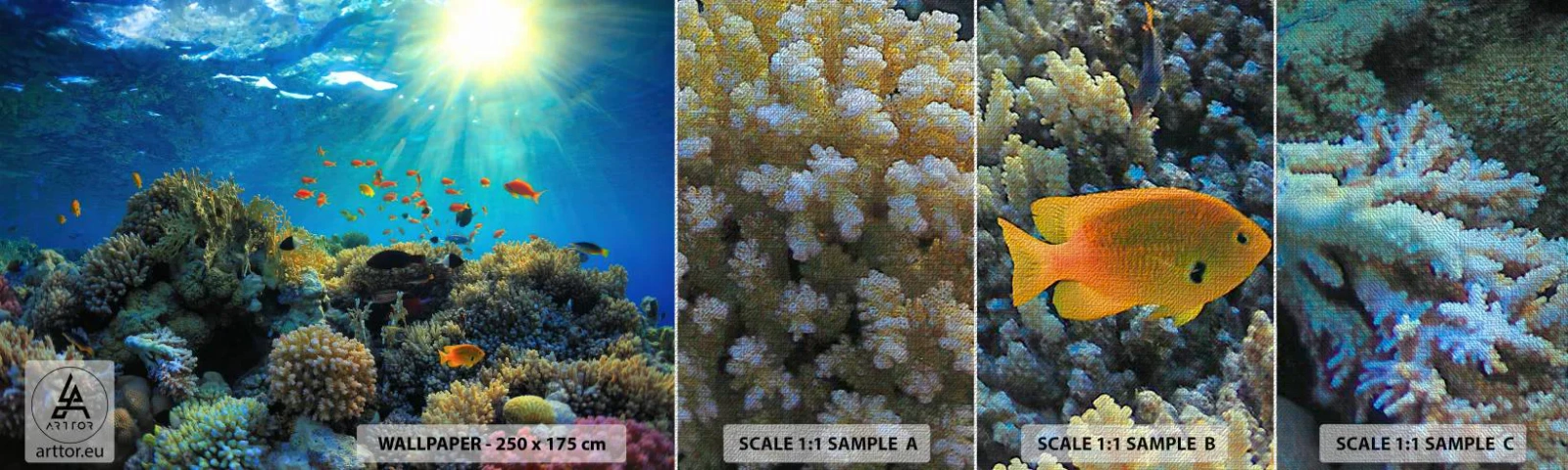 Amostra de papel de parede Premium Canvas - Tesouros subaquáticos - Recife de corais, oceano, Marítimo - 100x30 cm