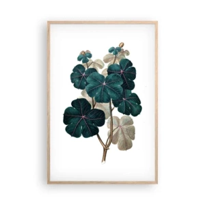 Pôster com moldura de carvalho claro - Do antigo herbário - 61x91 cm