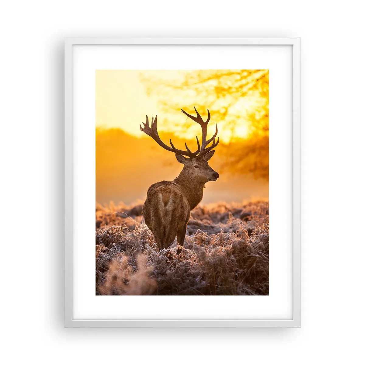Pôster em moldura branca - Rei da floresta de outono - 40x50 cm