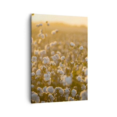 Quadro em tela - Campo macio - 50x70 cm