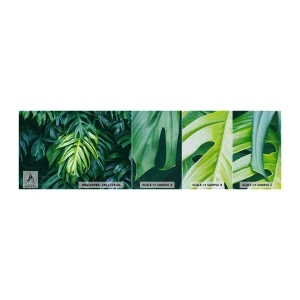 Amostra de papel de parede Premium Canvas - Mergulhar no frescor - Planta tropical, Folha de monstro, Natureza - 100x30 cm
