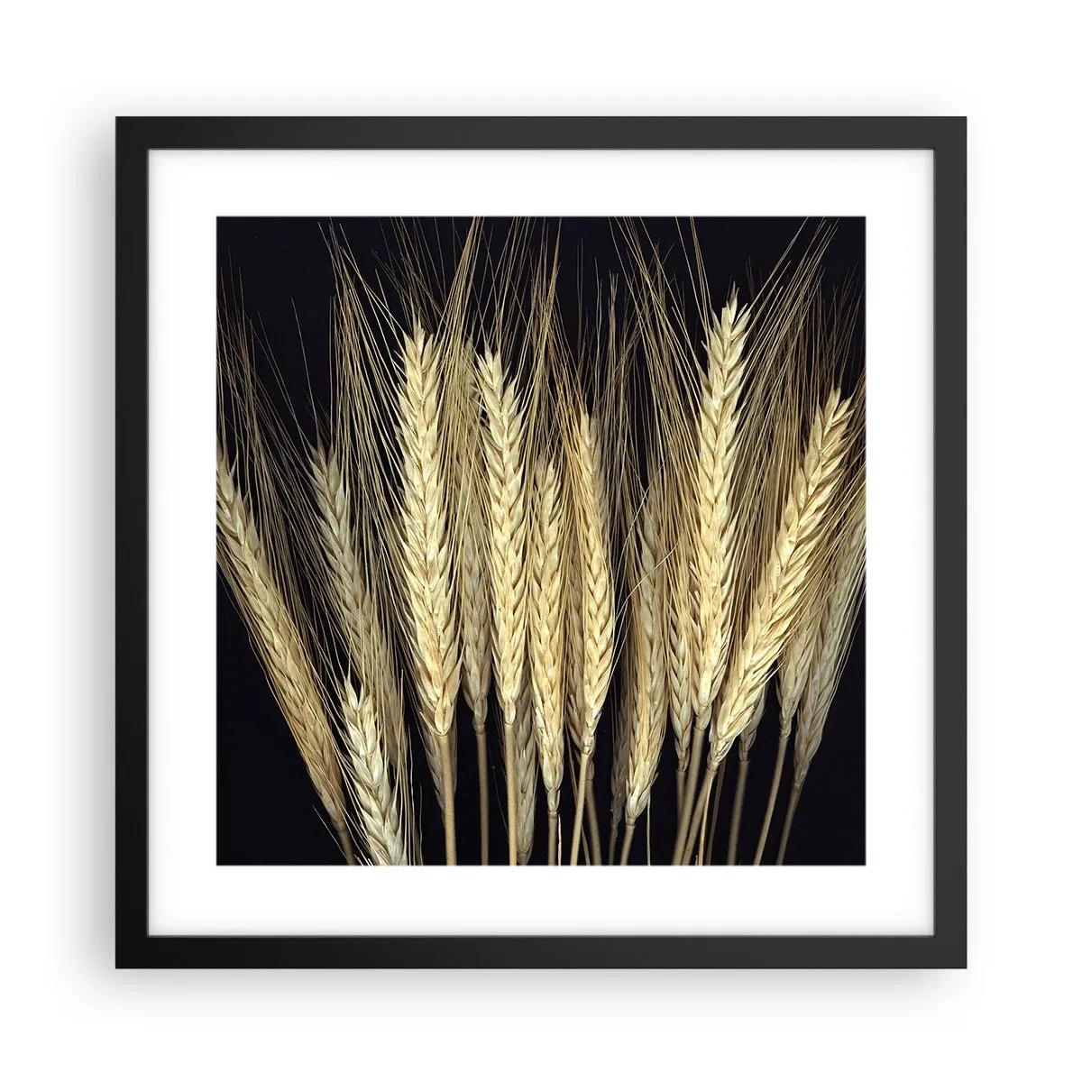 Pôster com moldura preta - Magia rústica - 40x40 cm