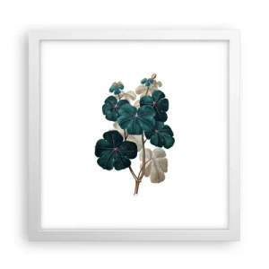 Pôster em moldura branca - Do antigo herbário - 30x30 cm