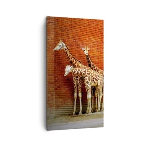 Quadro em tela - Vê alguma acácia? - 45x80 cm