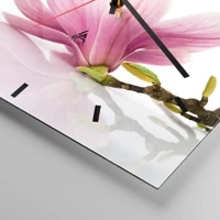 Mostrador com traços