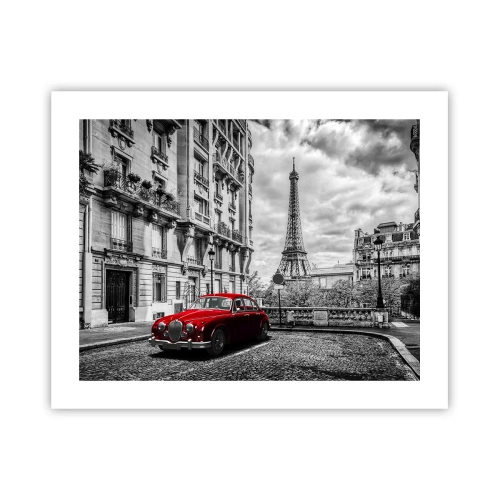 Pôster - Predador na cidade - 50x40 cm