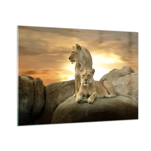 Quadro em vidro - Majestade real - 100x70 cm