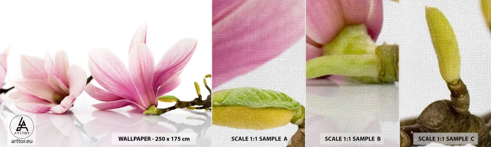 Amostra de papel de parede Premium Canvas - Suave como um sopro de primavera - Flor, Magnólia, Natureza - 100x30 cm