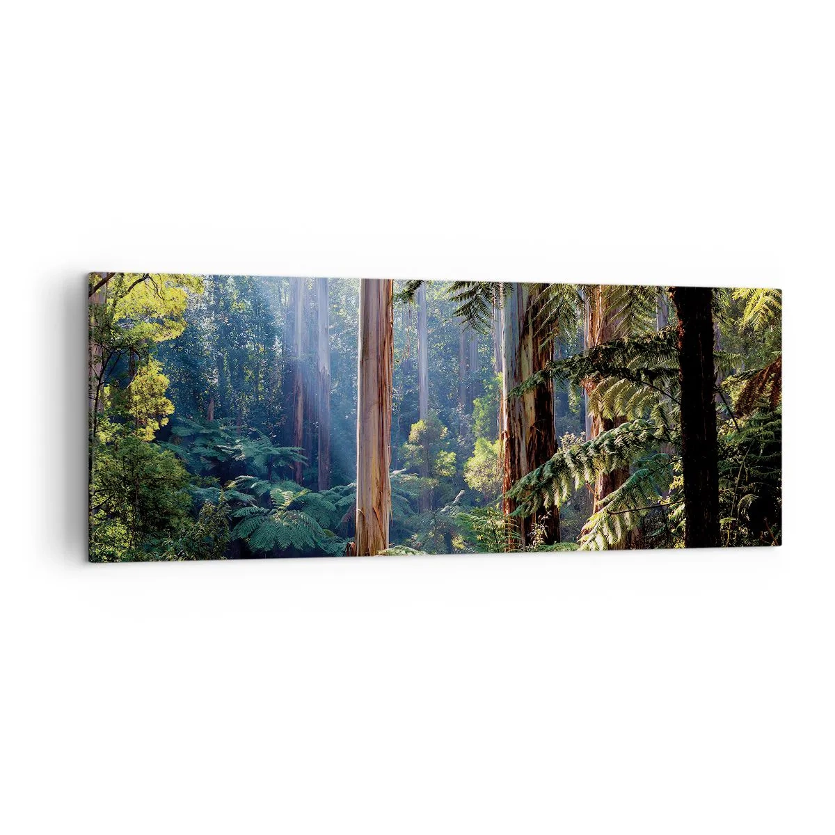 Quadro em tela - Um conto de fadas da floresta - 140x50 cm