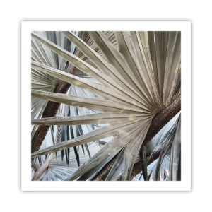 Pôster - Leques nos trópicos - 60x60 cm