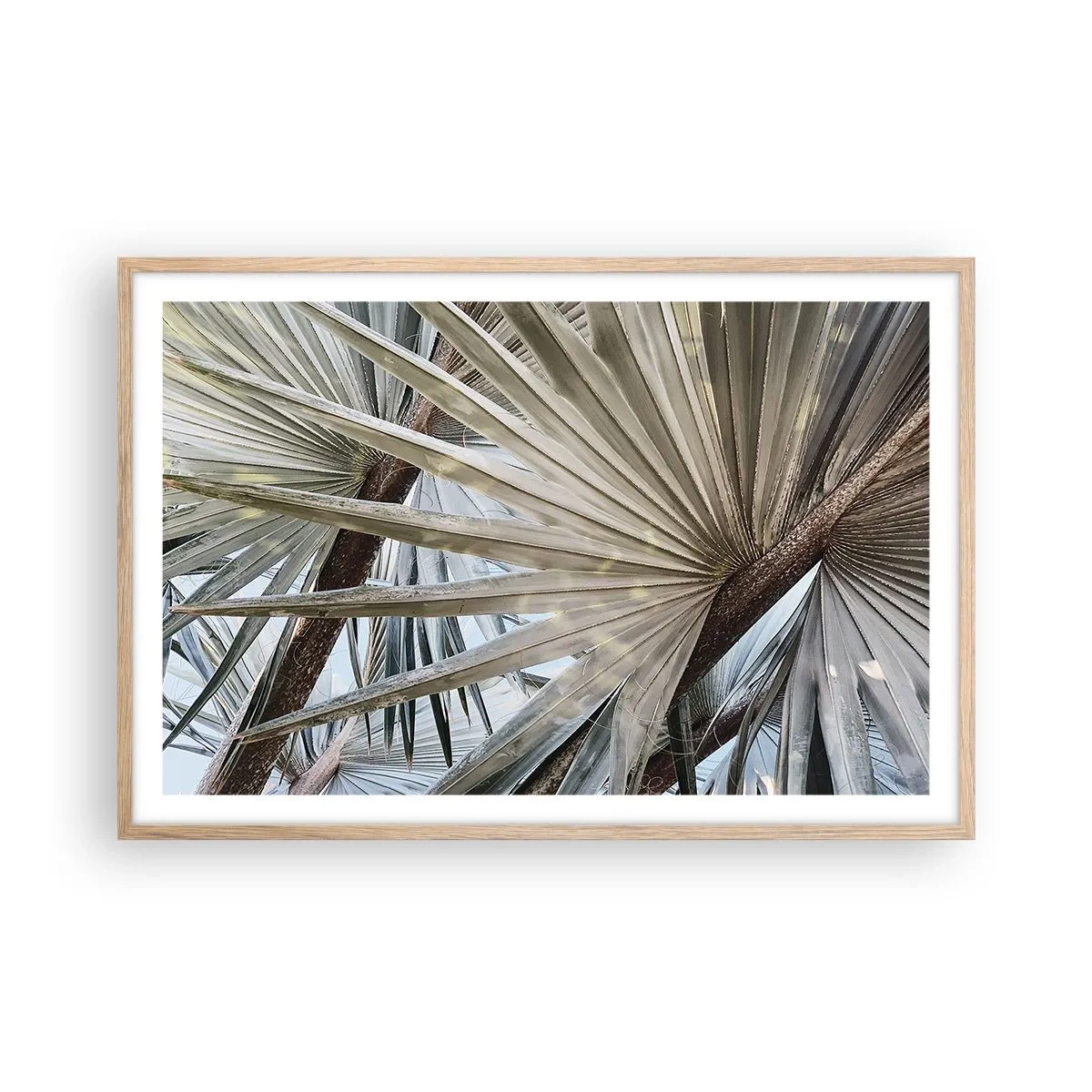 Pôster com moldura de carvalho claro - Leques nos trópicos - 91x61 cm