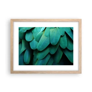Pôster com moldura de carvalho claro - Precisão de papagaio - 40x30 cm
