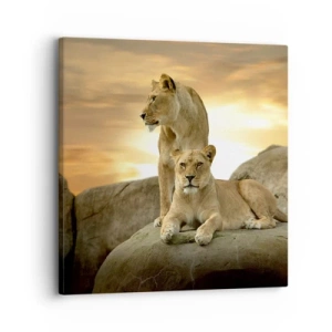 Quadro em tela - Majestade real - 30x30 cm