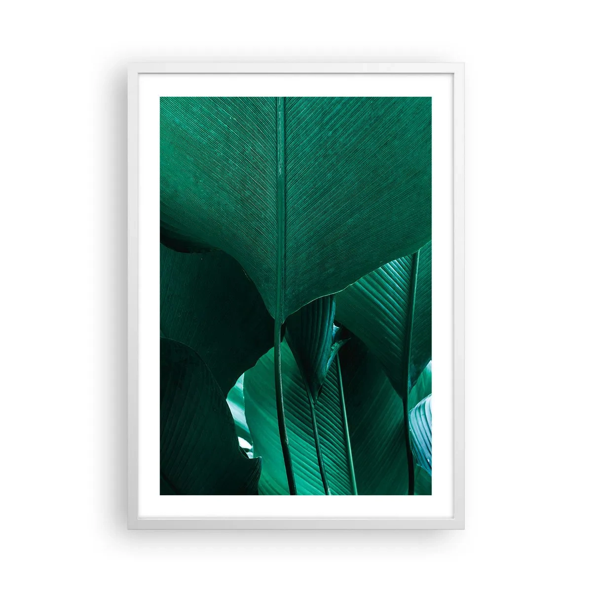 Pôster em moldura branca - De frente para a luz - 50x70 cm