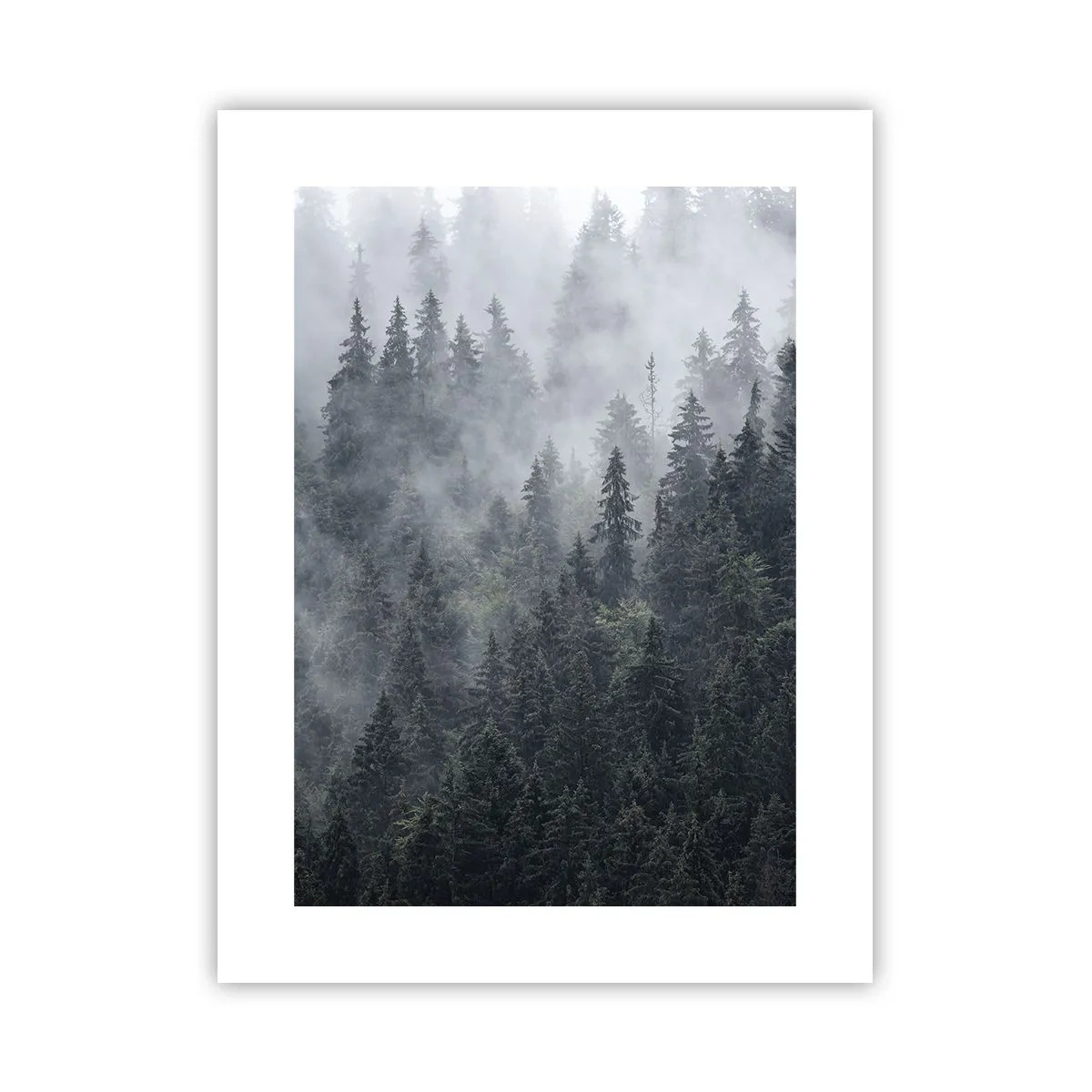 Pôster - O amanhecer da floresta - 30x40 cm