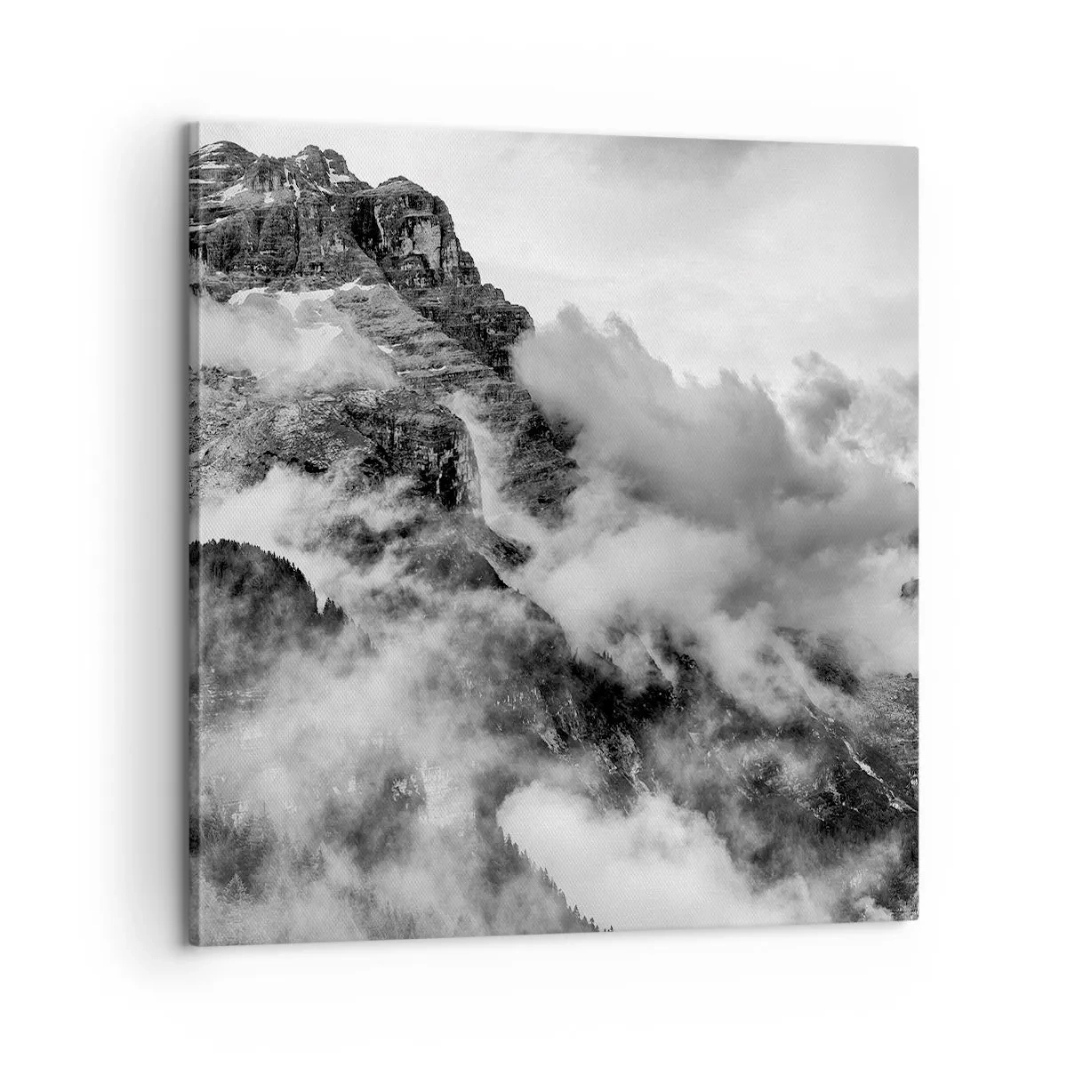 Quadro em tela - Bonitas e cruéis - 60x60 cm