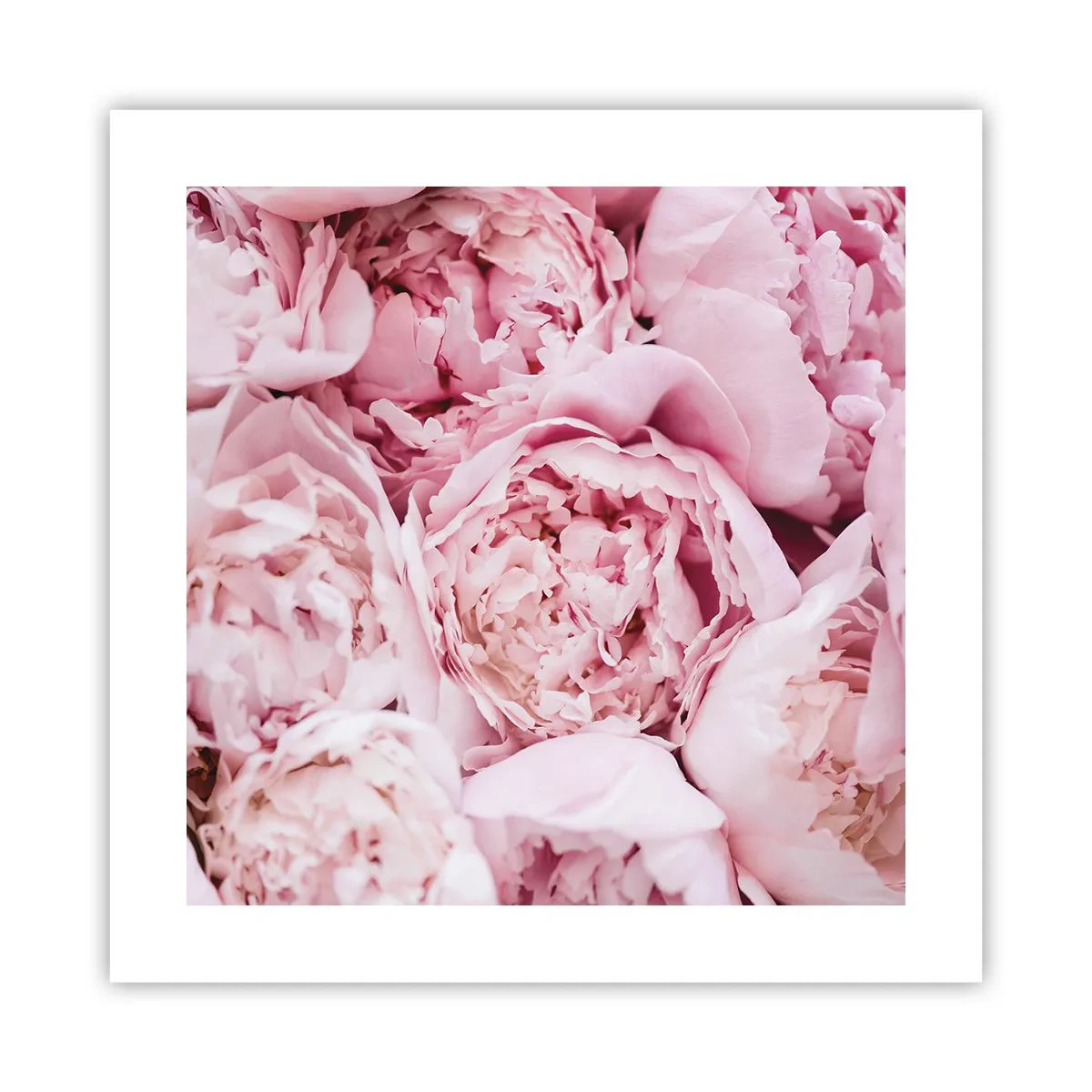 Pôster - Aconchego e perfume - 40x40 cm