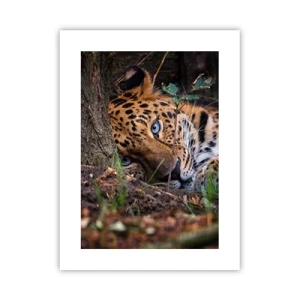 Pôster - Confie em mim - 30x40 cm