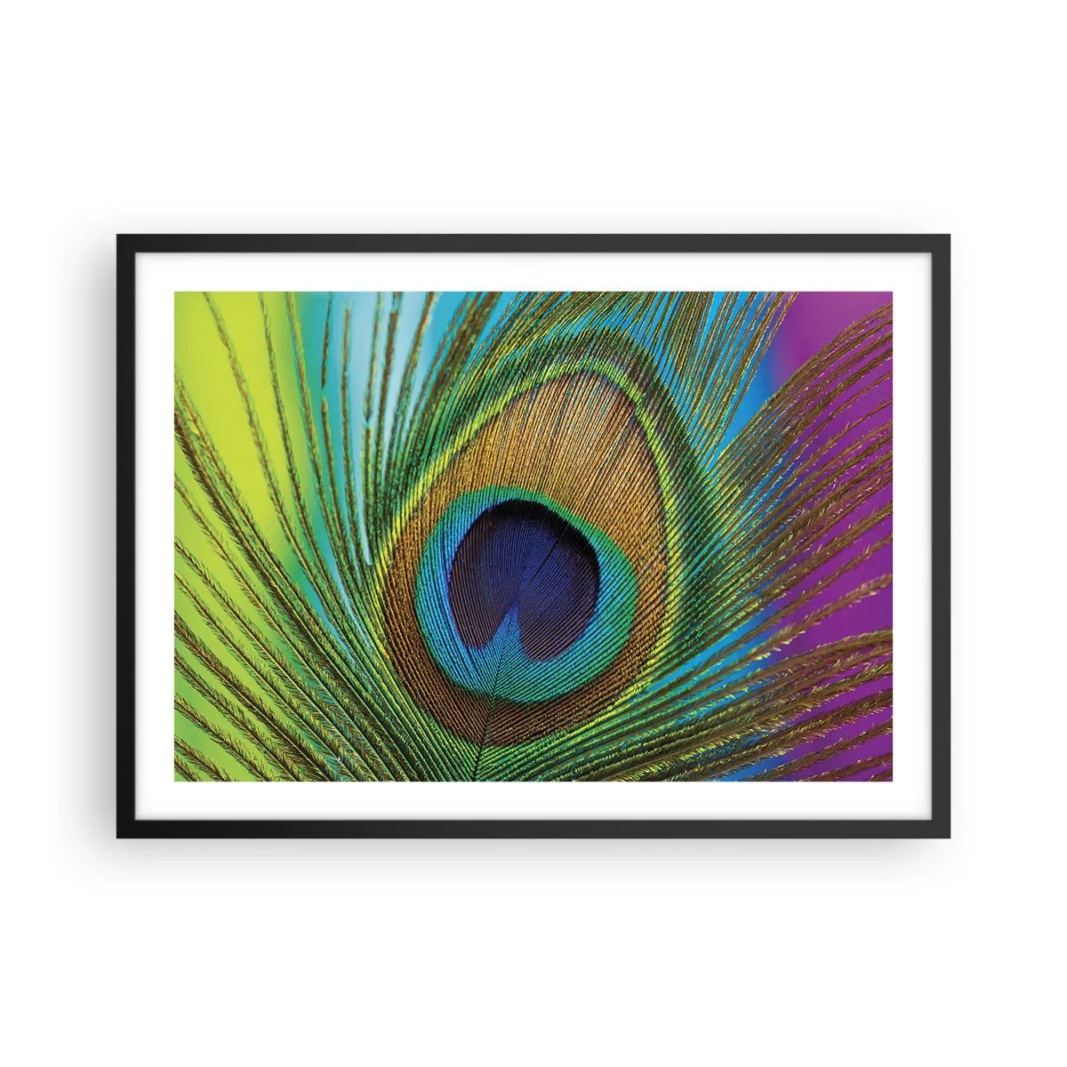 Pôster com moldura preta - Olho no olho - 70x50 cm