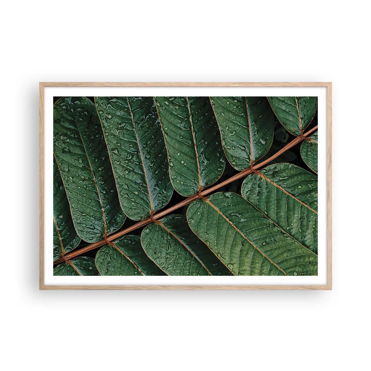 Pôster com moldura de carvalho claro - Num ritmo verde - 100x70 cm