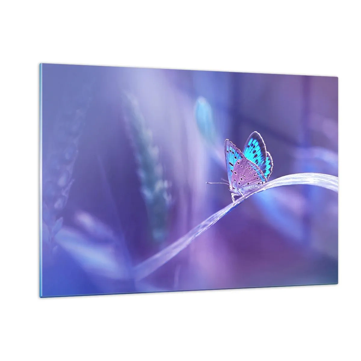 Quadro em vidro - Uma joia da natureza - 120x80 cm