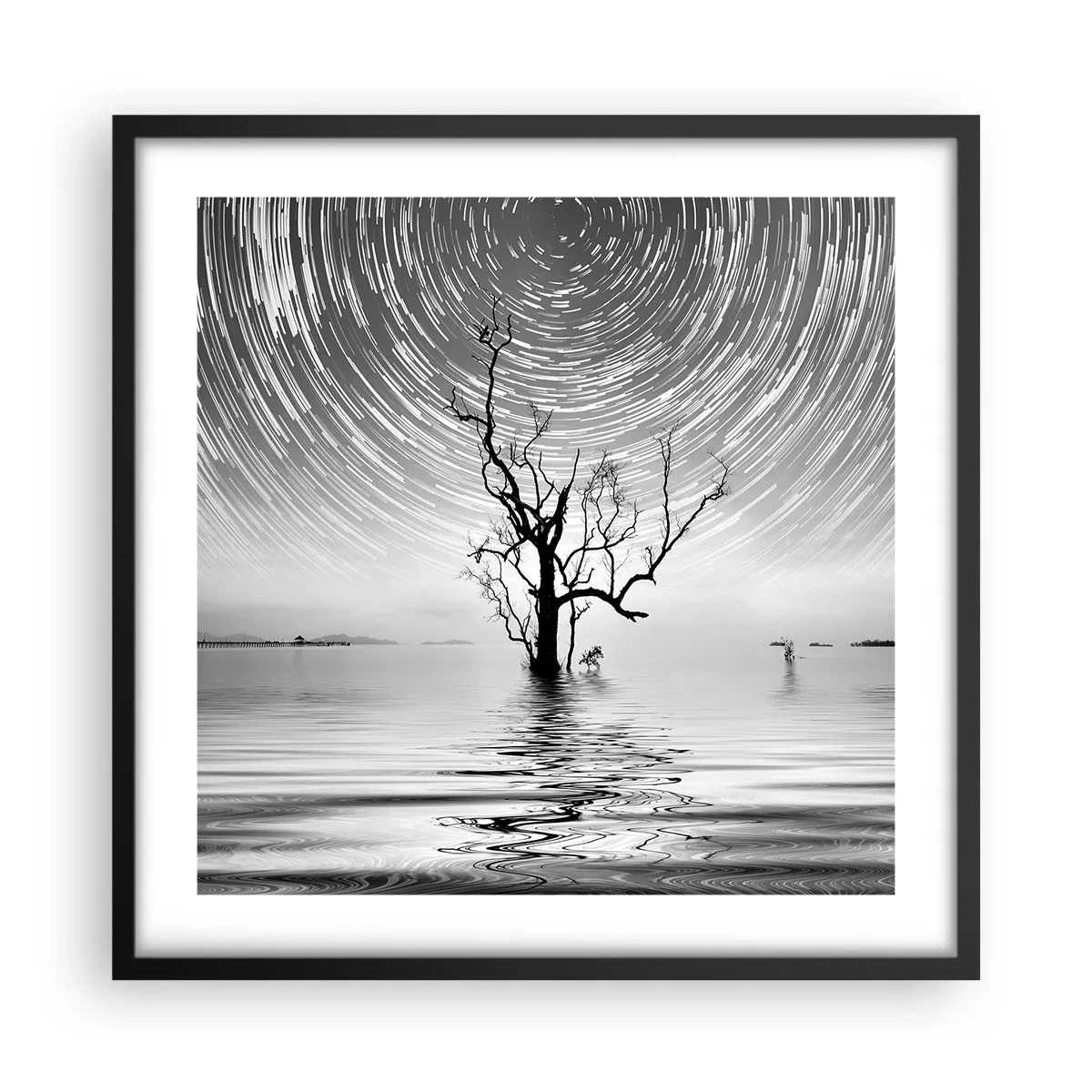 Pôster com moldura preta - Sinfonia da natureza - 50x50 cm