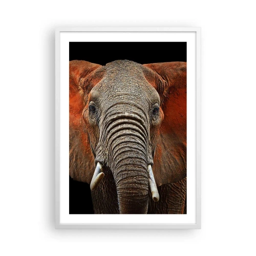 Pôster em moldura branca - Eu sou selvagem, e você? - 50x70 cm