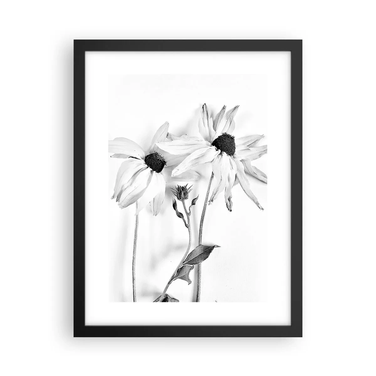 Pôster com moldura preta - Ninguém quer estar sozinho - 30x40 cm