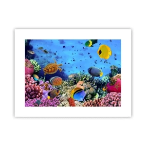 Pôster - E o que sabemos sobre a vida... - 40x30 cm