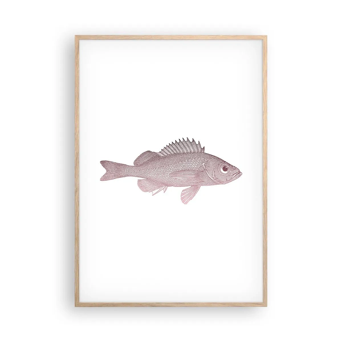 Pôster com moldura de carvalho claro - Peixe de olhos grandes - 70x100 cm