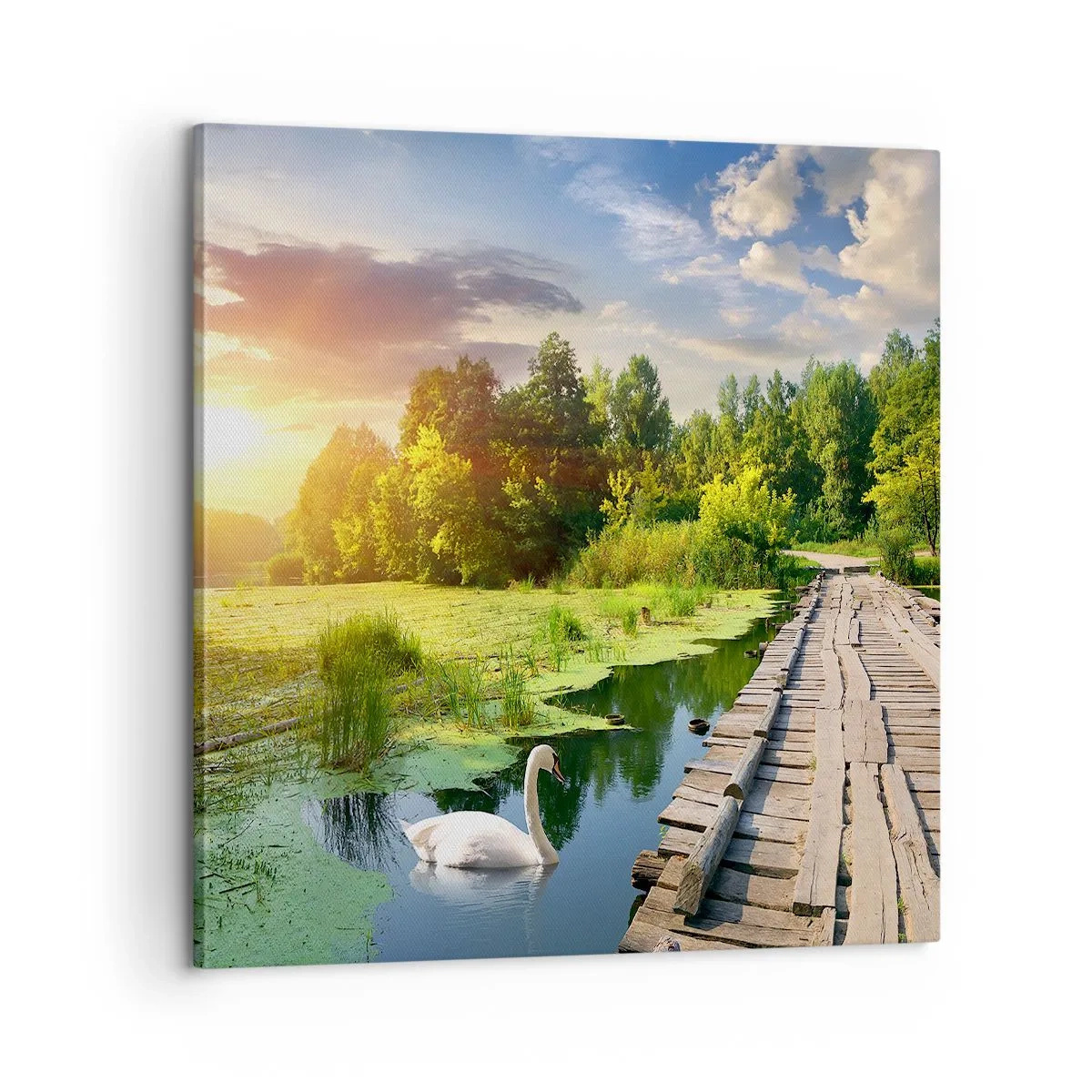 Quadro em tela - Verão em todos os lugares - 60x60 cm