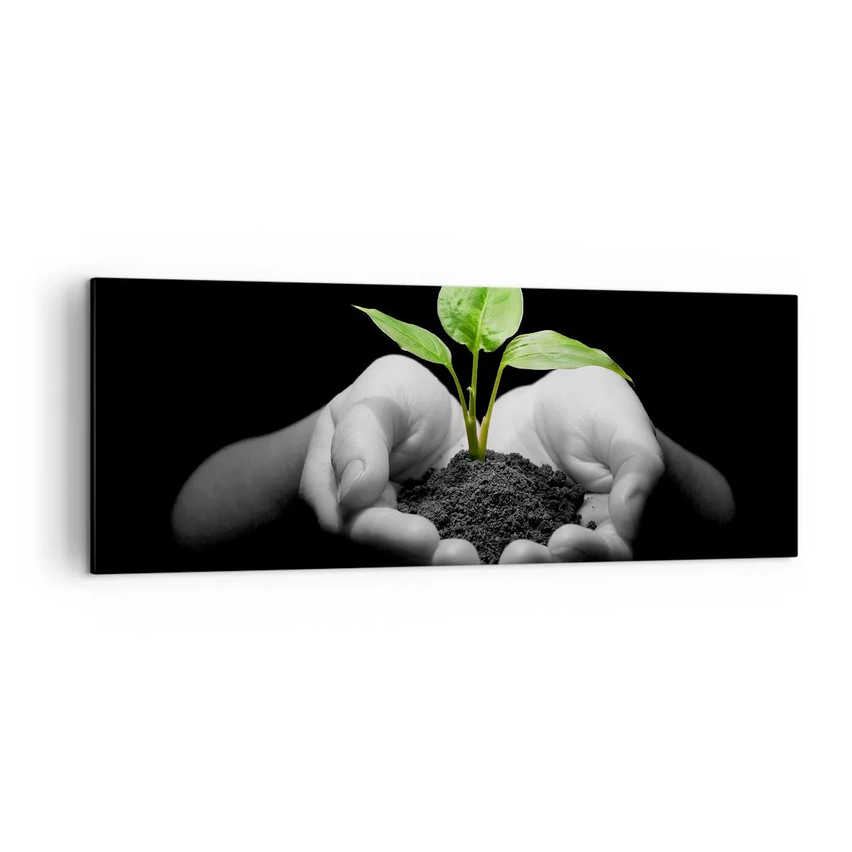 Quadro em tela - Eu amo a natureza, eu a protejo - 140x50 cm