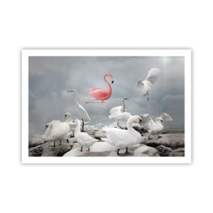 Pôster - Como vim parar aqui? - 91x61 cm