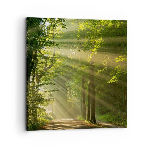 Quadro em tela - Momento florestal - 70x70 cm