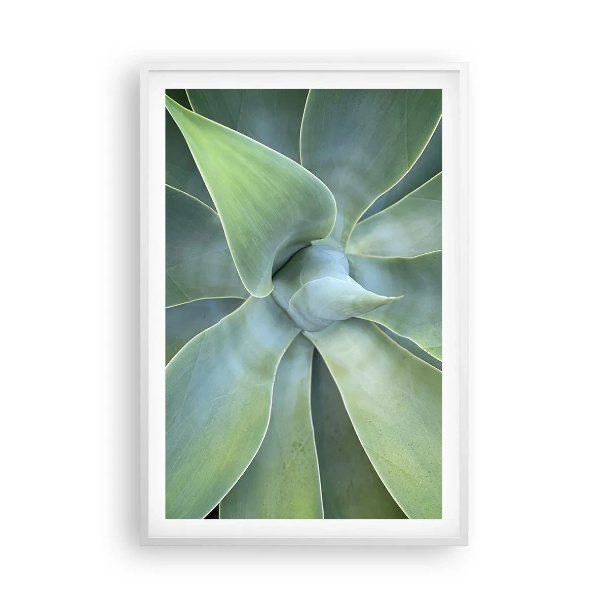 Pôster em moldura branca - O nascimento da vegetação - 61x91 cm