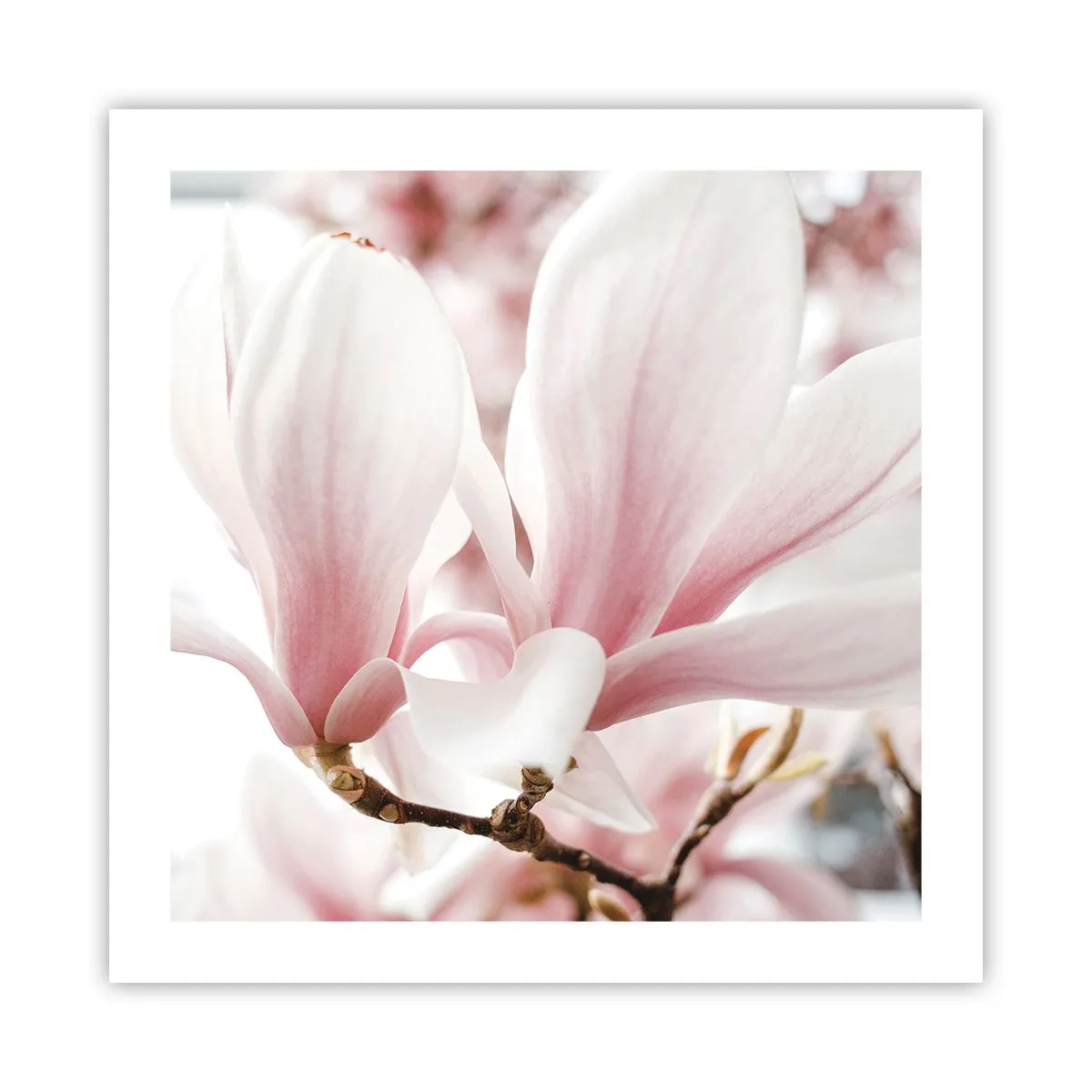 Pôster - Sensibilidade infinita - 50x50 cm