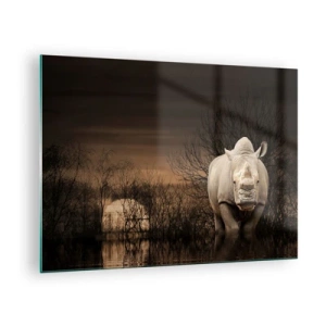Quadro em vidro - Rinoceronte contra o pôr do sol - 70x50cm - Branco contra a natureza - Decoração de parede moderna para a sala de estar e quarto ARTTOR